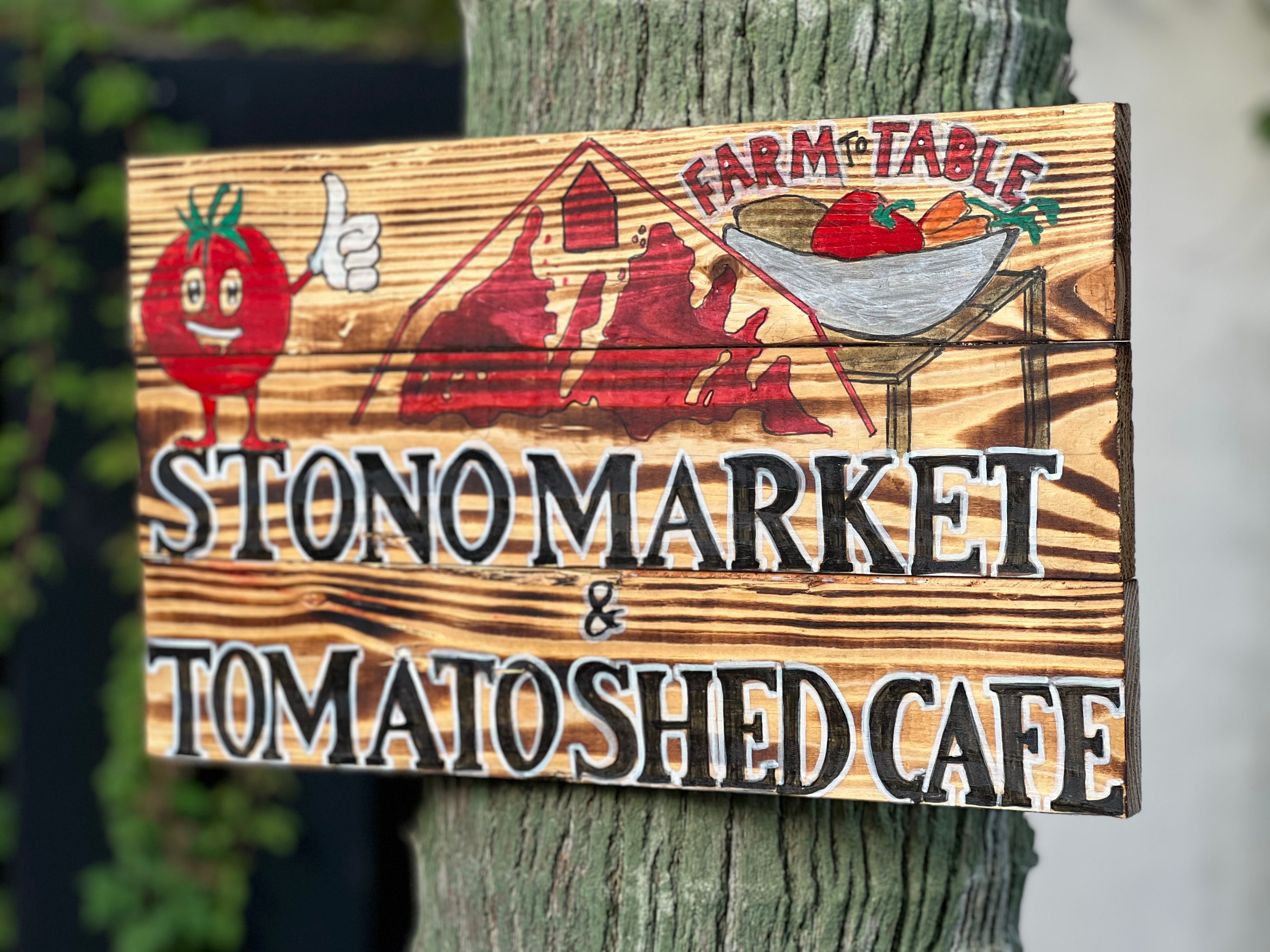 Custom Designed Signs