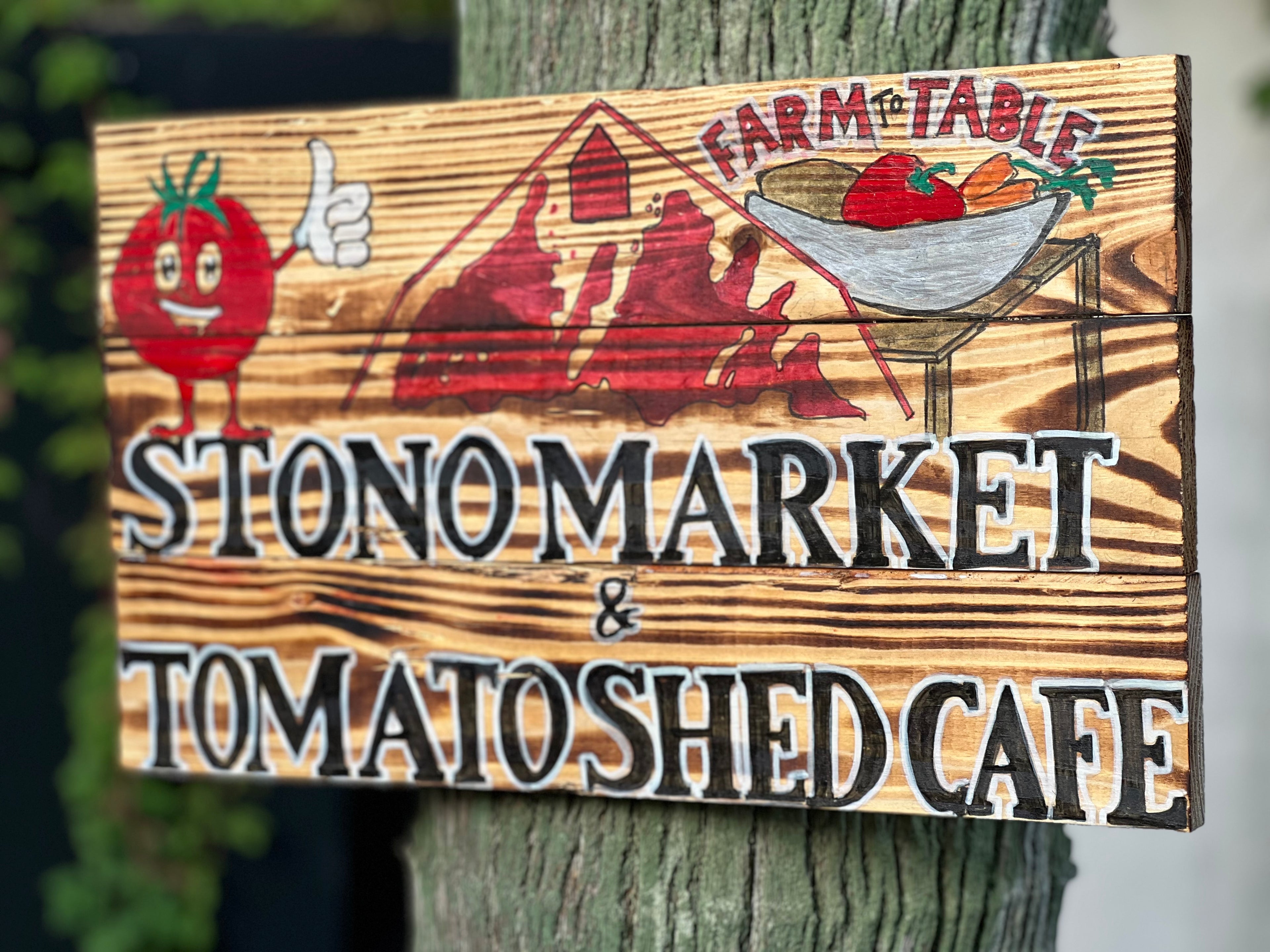 Custom Designed Signs